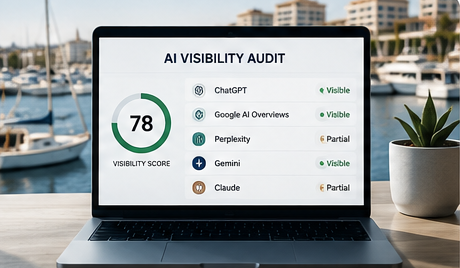AI Search Visibility Audits